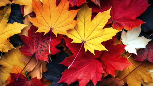 1741167 (a): :2560x1440